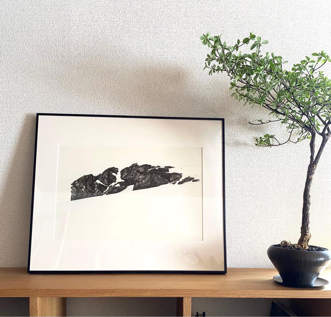 2019年制作 高崎紗弥香 a day #13 フォトグラフ 草間彌生 奈良美智