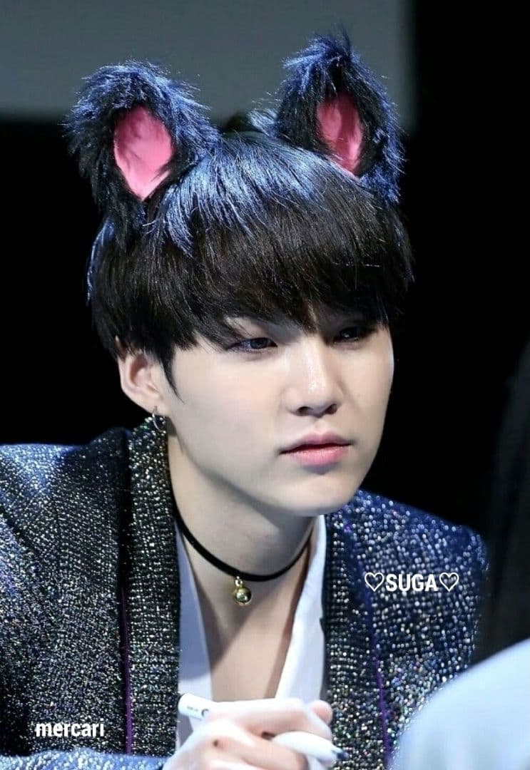 BTS ぬいぐるみ 10cm SUGA AgustD ユンギ テテ ジン ジミ