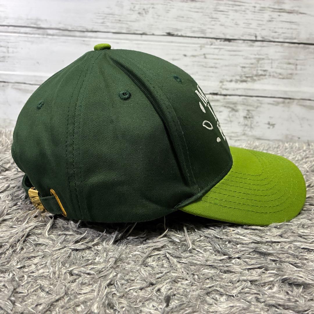 【極美品】ホロライブEN セレス・ファウナ 活動2周年記念 キャップ 公式