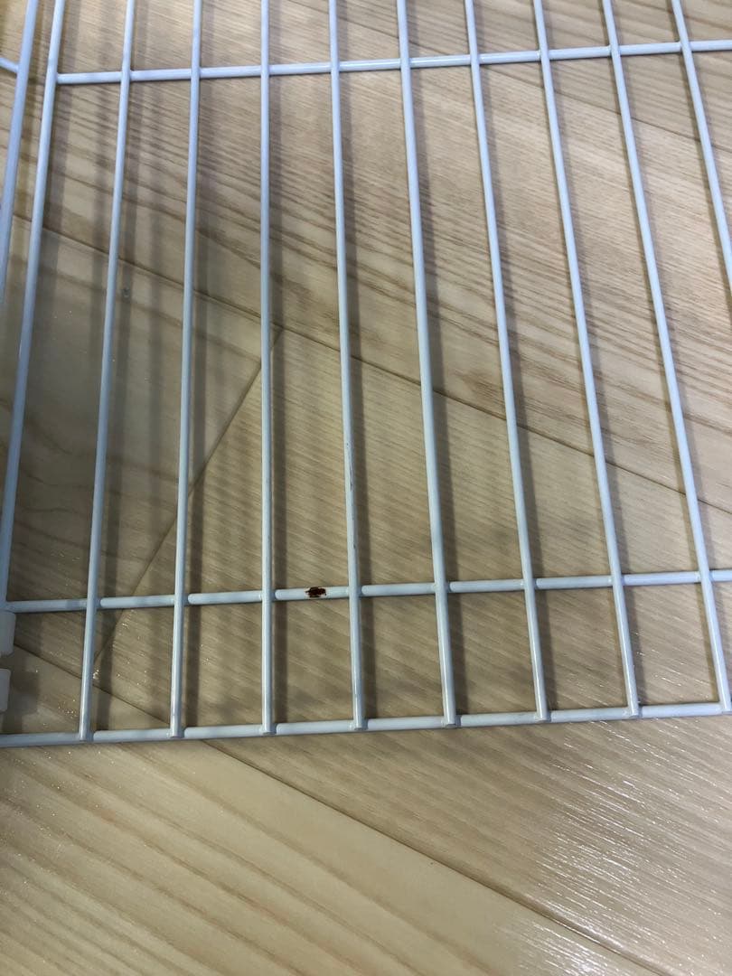 ハリネズミ用ケージ　飼育用品セット　エサ(ハリネズミリター)、ハリネズミサンド