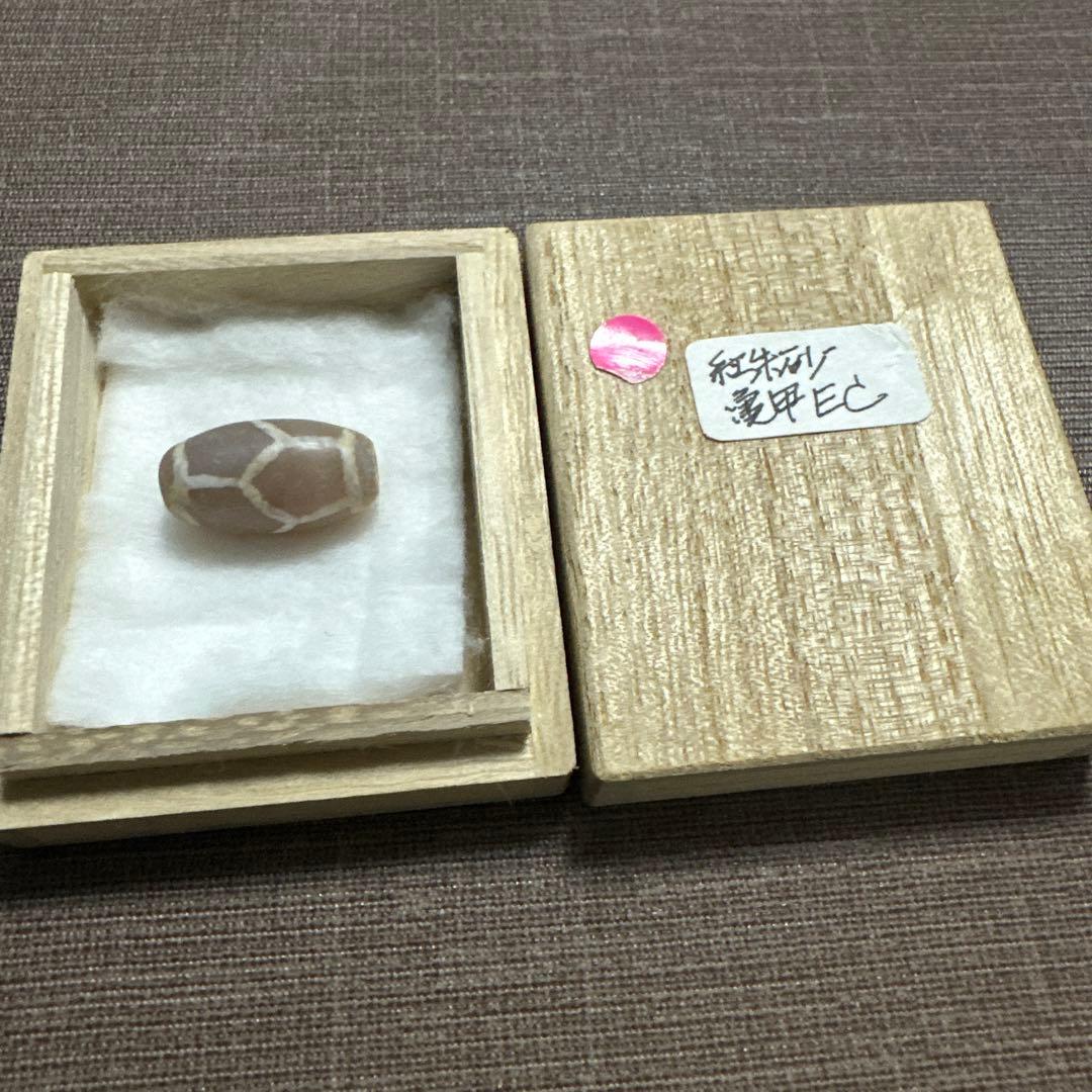 紅朱砂　亀甲EC