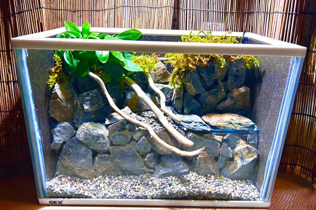 水の流れる滝テラリウム水槽　40サイズ