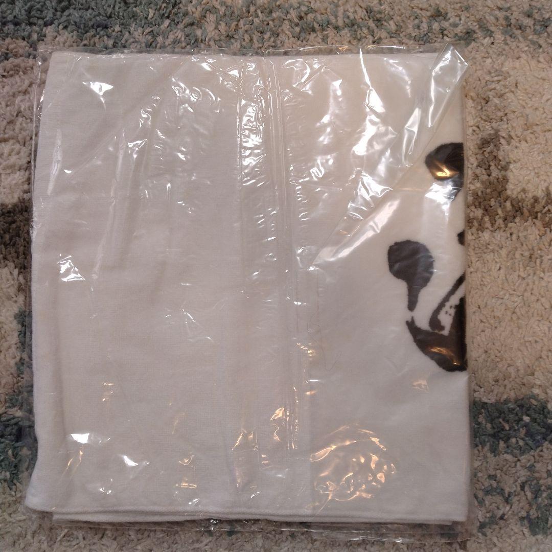 湘南乃風　超レア　初期タオル　白