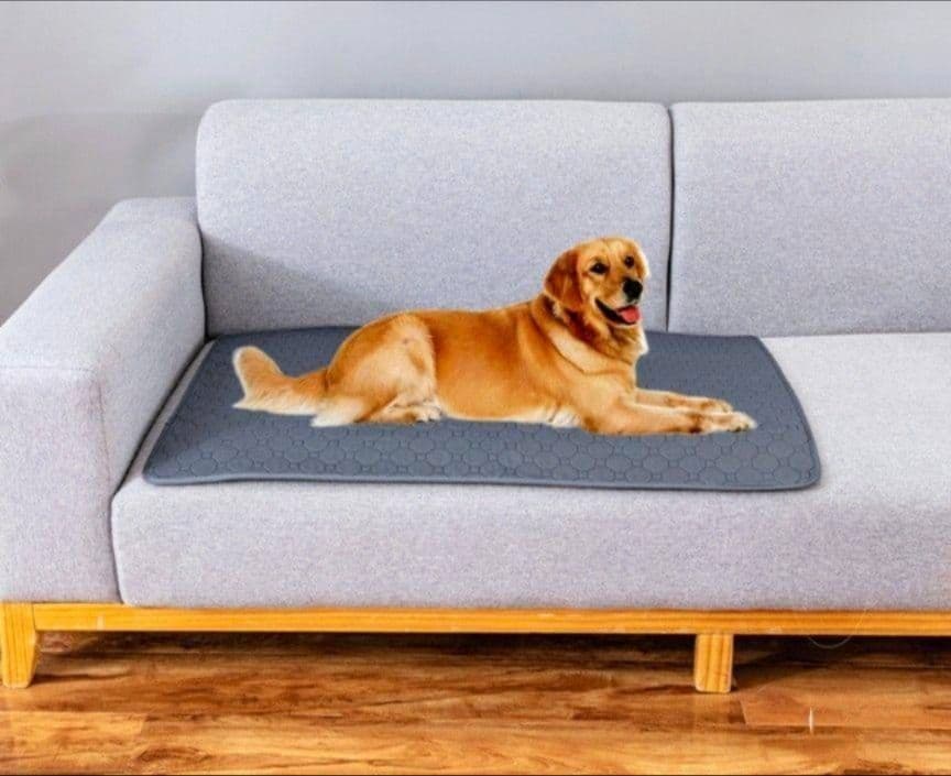 【新品】トイレ　ペットシート　吸水　おしっこ　犬　猫　2枚組　洗える　グレー