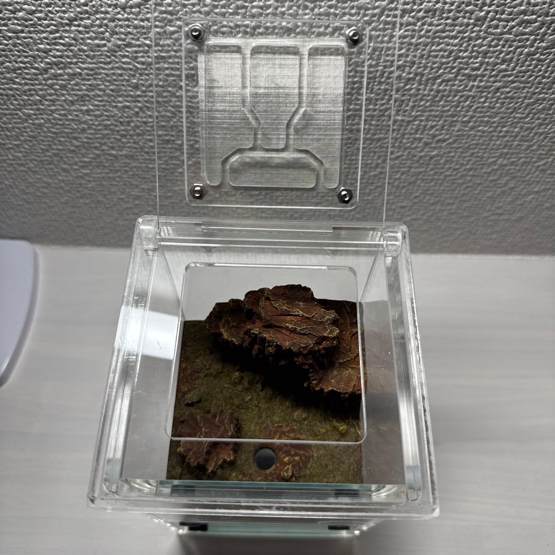 アクリル製アリ飼育キット 自然な岩レイアウト