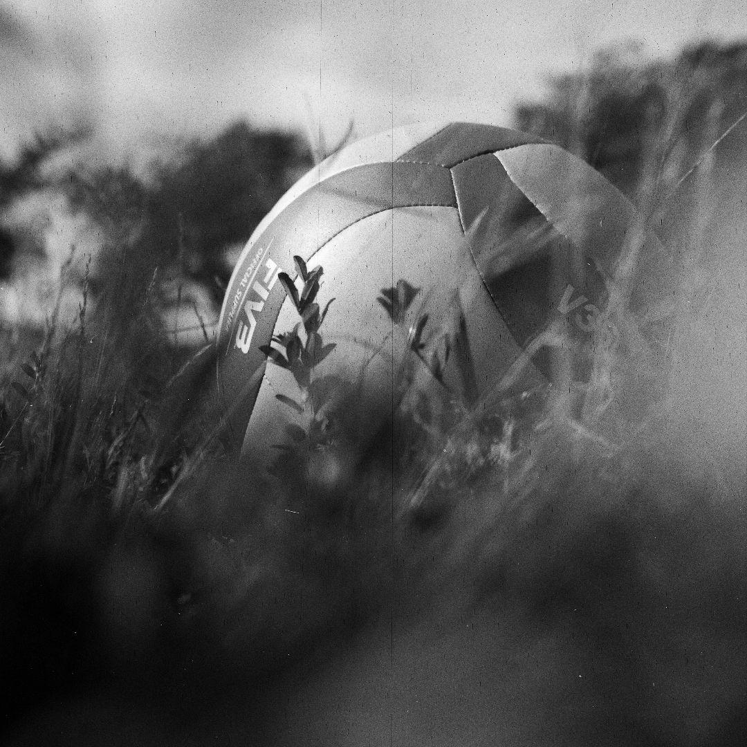 ROLLEI ローライコード用Bay1規格 ローライナー1　希少　作例あり