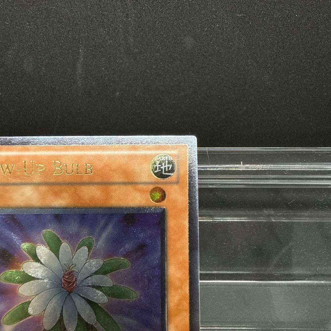 グローアップ・バルブ　1st 英語版　レリーフ