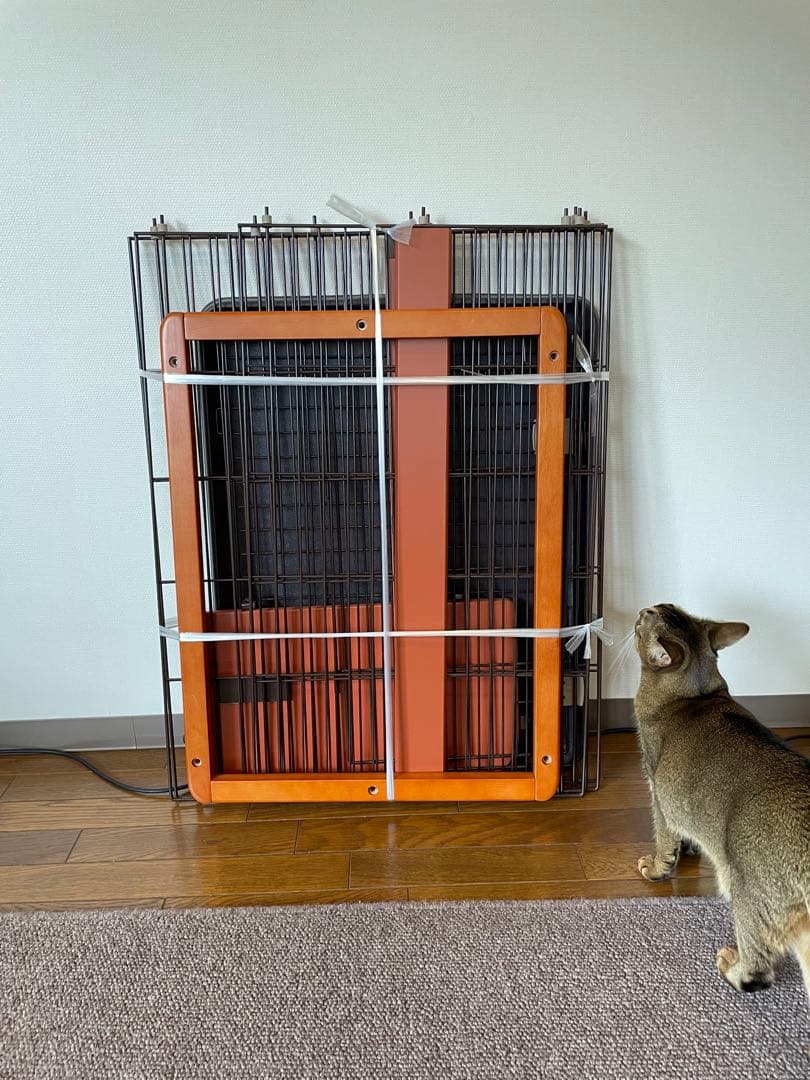 ボンビアルコン(Bonbi) ウッドワンサークル・キャットミニ