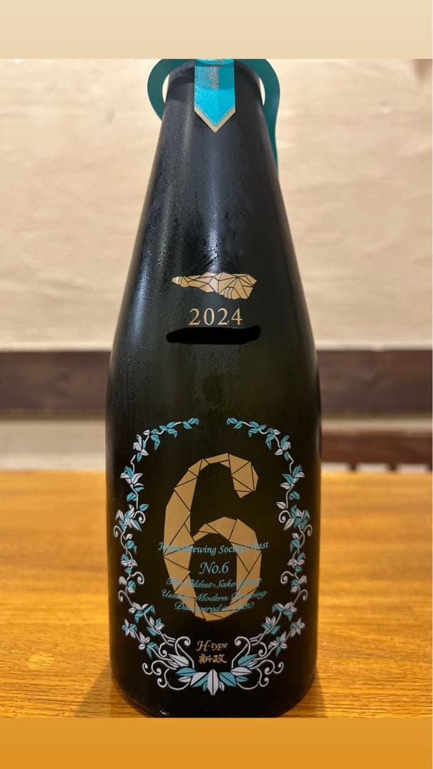 新政No.6 2024 H-TYPE