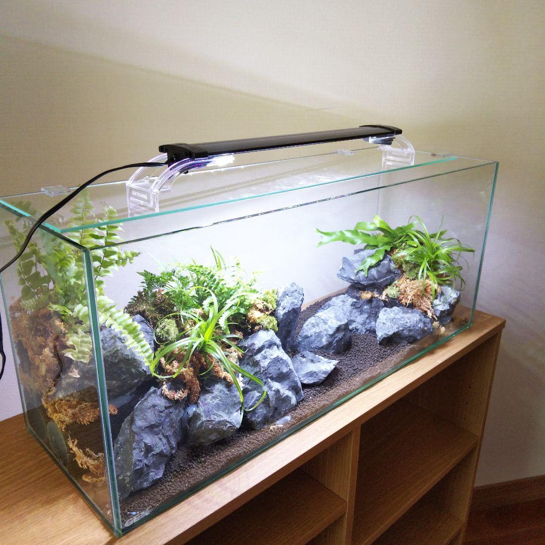 【受注生産】アクアテラリウム　イモリウム　苔　水槽　苔テラリウム