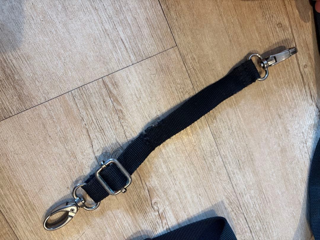 AIRBUGGY. ペット　キャリーバッグ