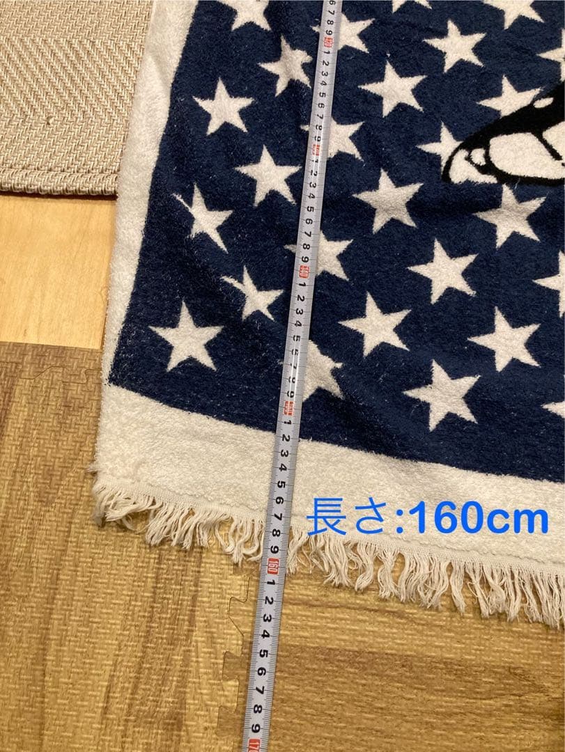 ⭐︎HYSTERIC GLAMOUR ビーチタオル⭐︎