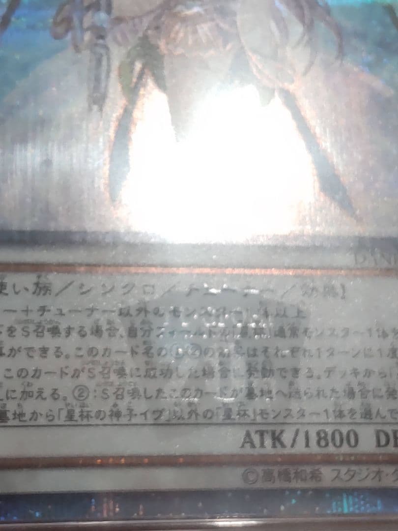 激レア　遊戯王 psa10 聖杯の神子イヴ　20thレア