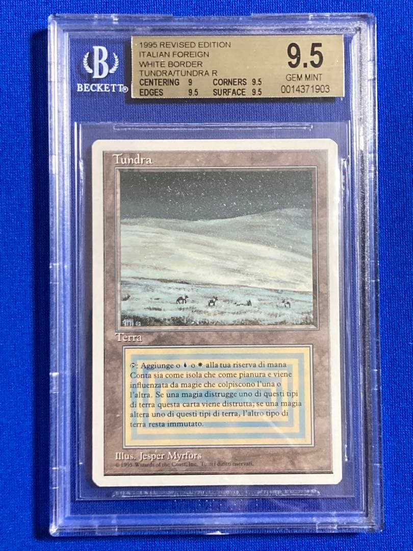 イタリア語 Revised Tundra dual land BGS9.5鑑定品