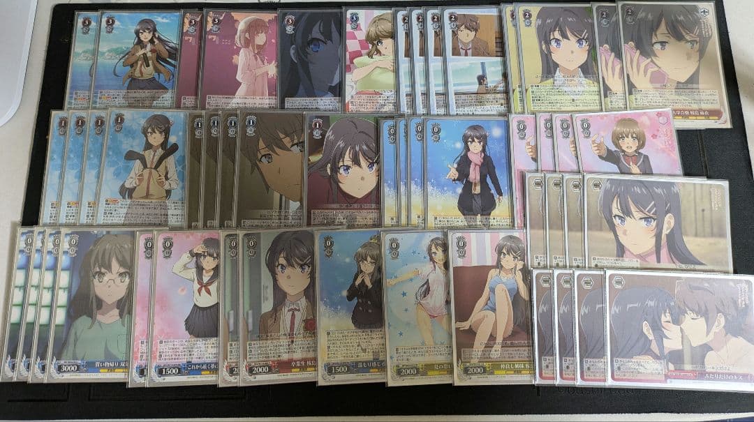 ヴァイスシュヴァルツデッキ 青ブタ 8扉