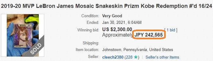 【20シリ】LeBron James PURPLE GOLD SNAKESKIN