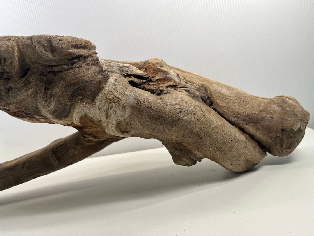 A16大型流木 アク抜き済み流木 爬虫類シェルター 登り木 インテリア 生け花