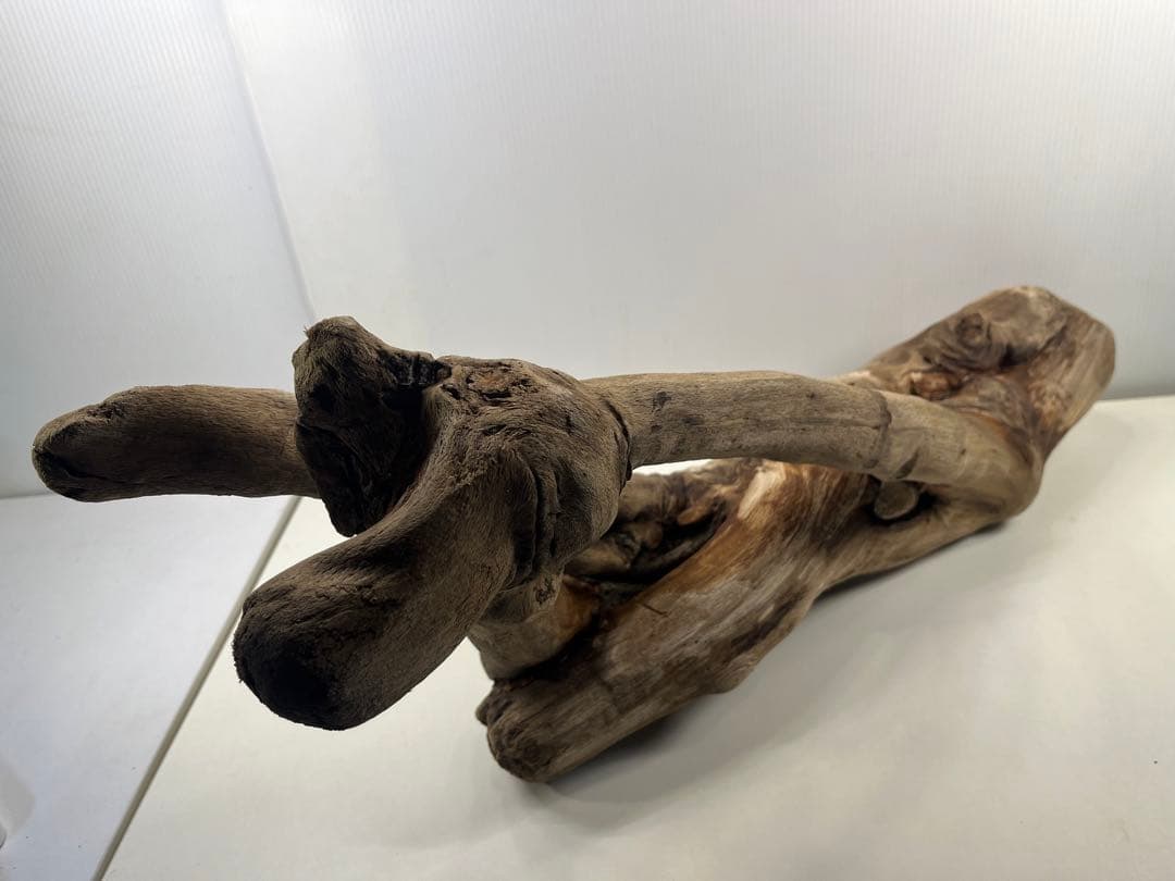 A16大型流木 アク抜き済み流木 爬虫類シェルター 登り木 インテリア 生け花