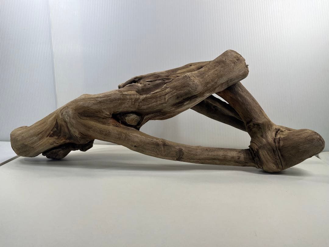 A16大型流木 アク抜き済み流木 爬虫類シェルター 登り木 インテリア 生け花