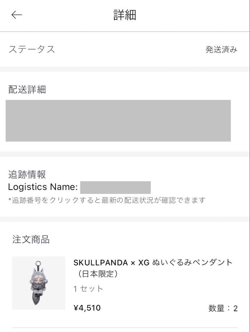 【新品】POPMART SKULLPANDA XG スカルパンダ ぬいぐるみ2体
