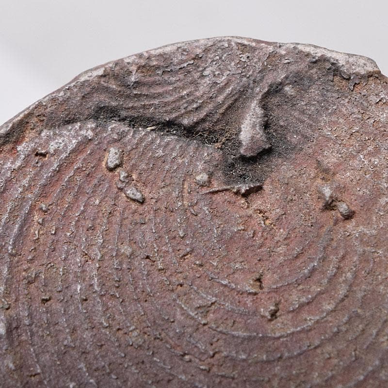 備前焼　古備前　南蛮窯　花入　書付共箱　V　R8780