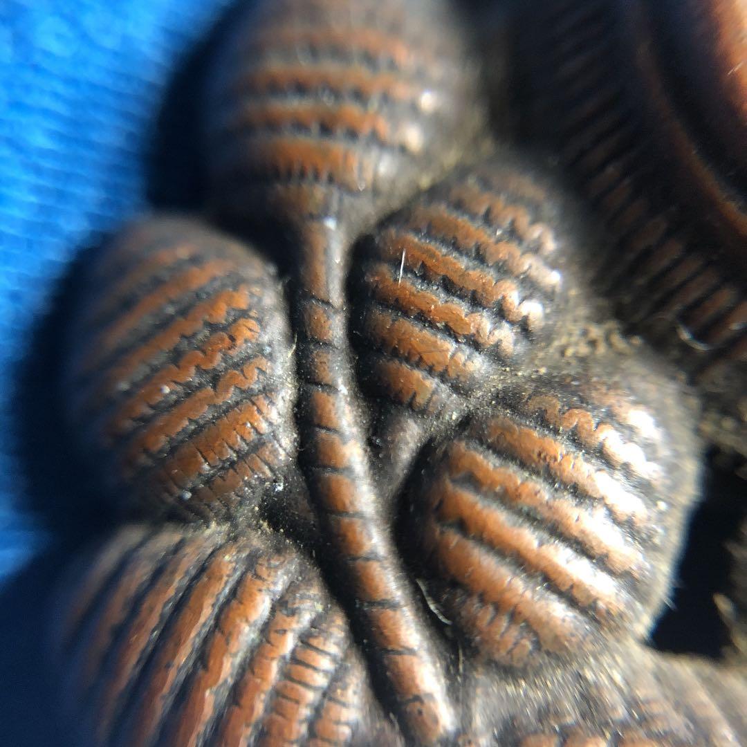 極レア！鉄道省時代の国鉄　戦前の品！制帽の帽章　金属プレス