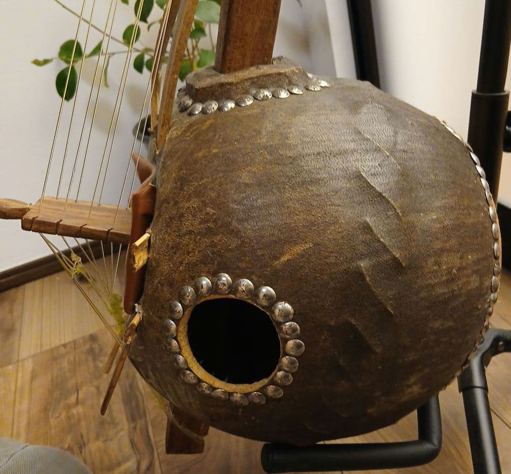 ンゴニ　西アフリカの伝統弦楽器