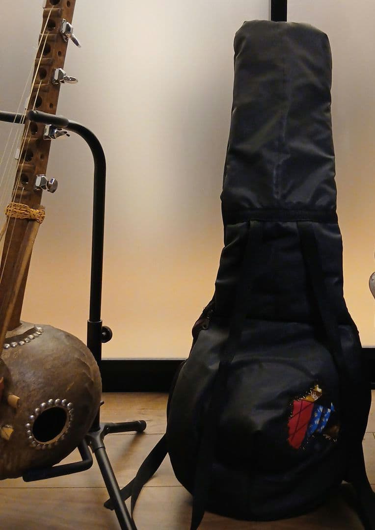 ンゴニ　西アフリカの伝統弦楽器