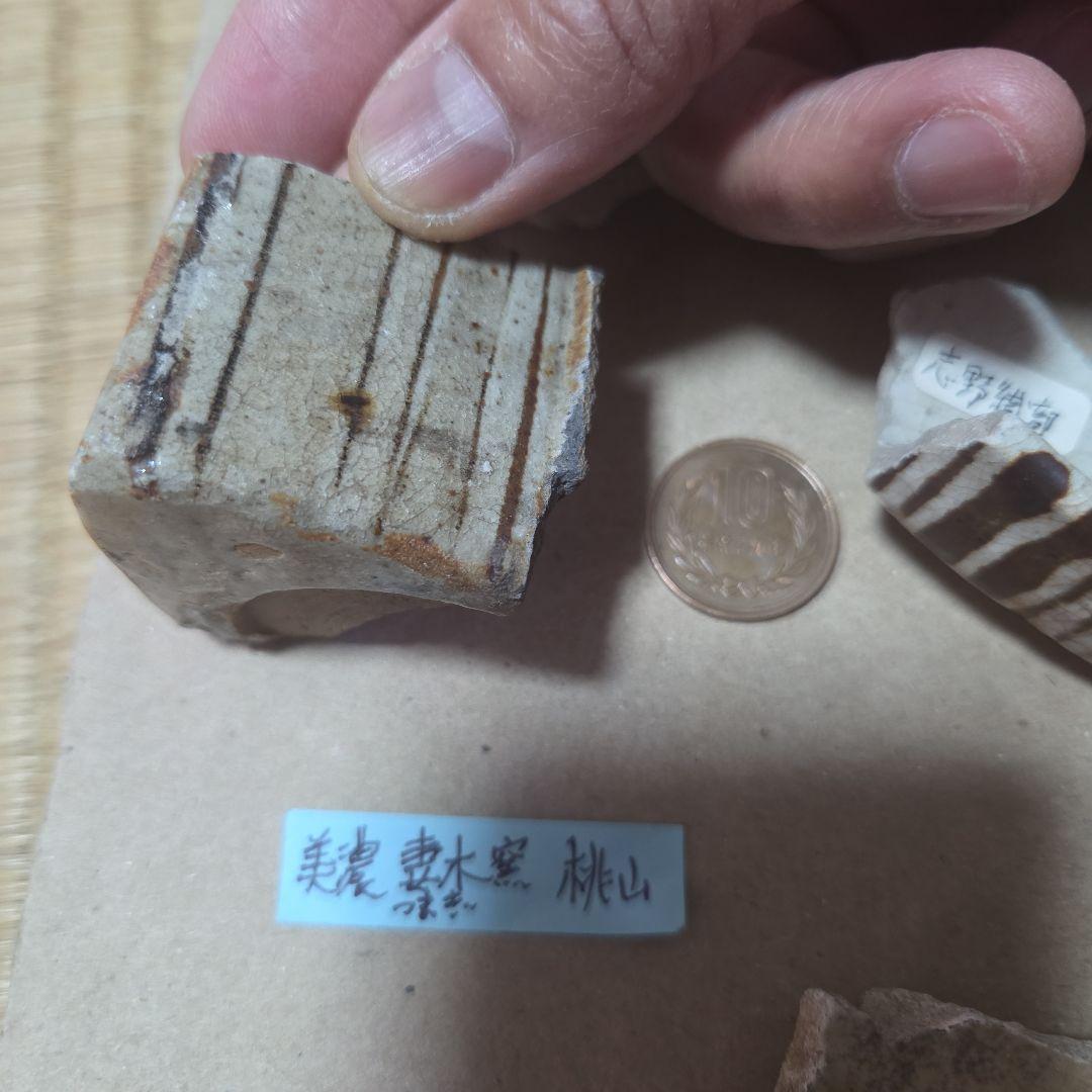 志野織部等の陶片