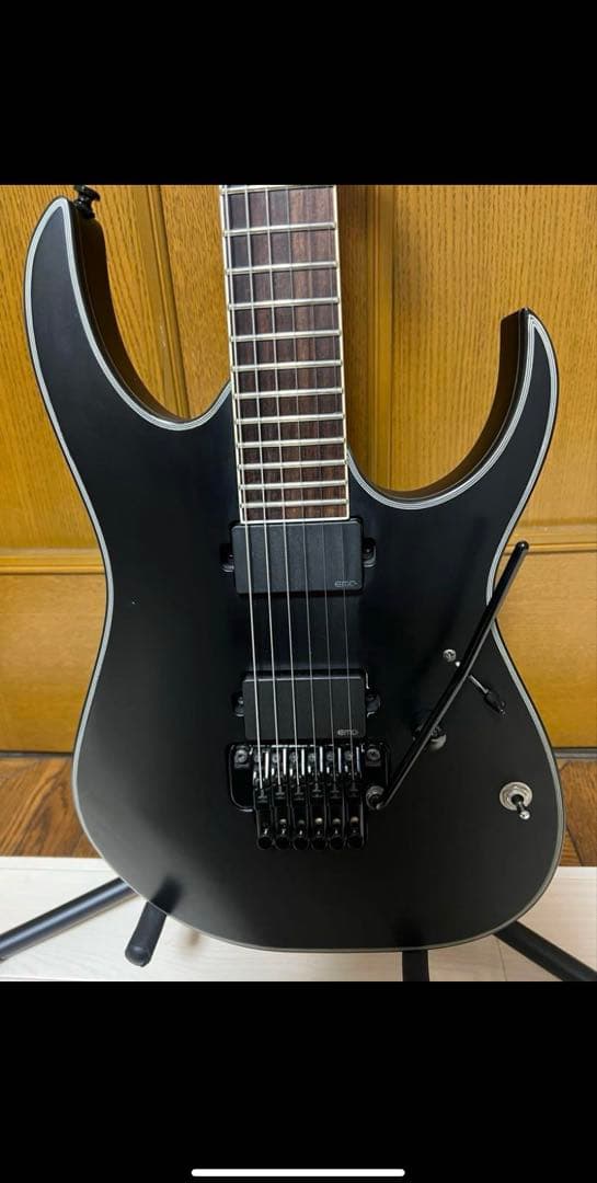 ギター Ibanez Iron Label EMG RGIR30BE