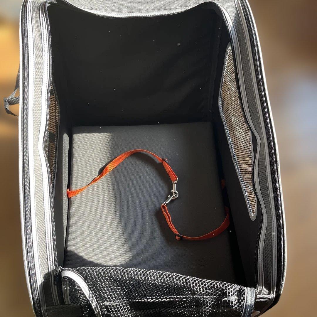 （ハルミックです）HONDA 純正　ドライブ用　プラスわん2 新品未使用品