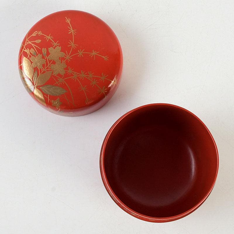 茶道具　佐々木麗峰作　鵬雲斎好写　一閑塗　春草蒔絵　棗　共箱　V　9633