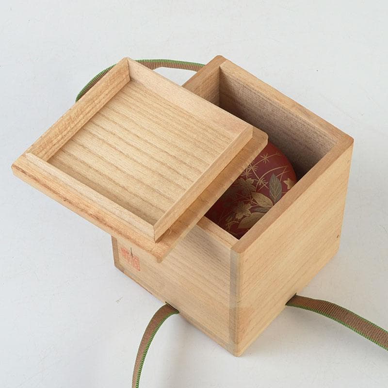 茶道具　佐々木麗峰作　鵬雲斎好写　一閑塗　春草蒔絵　棗　共箱　V　9633