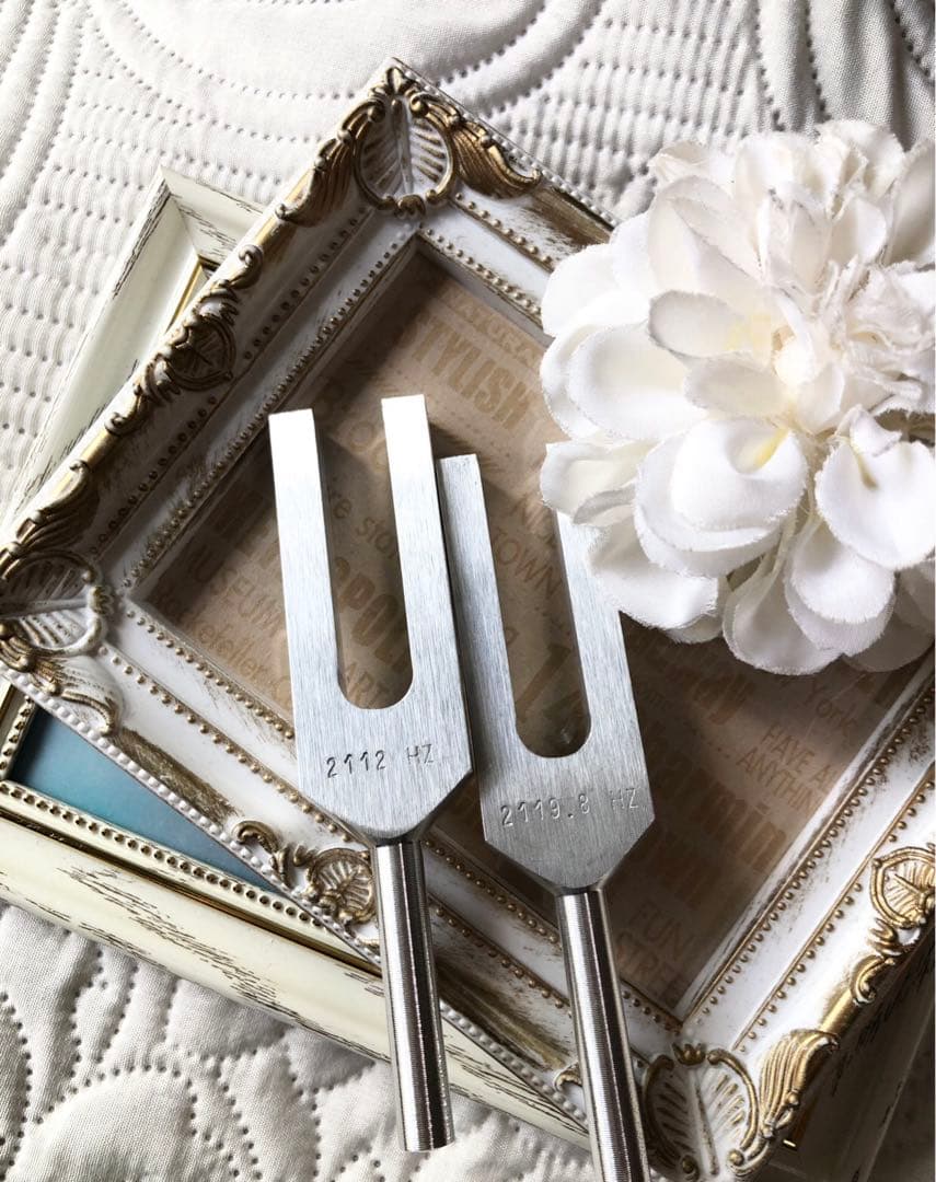 バイオソニック　スーパー倍音音叉　今あなたが必要な活動へ導く