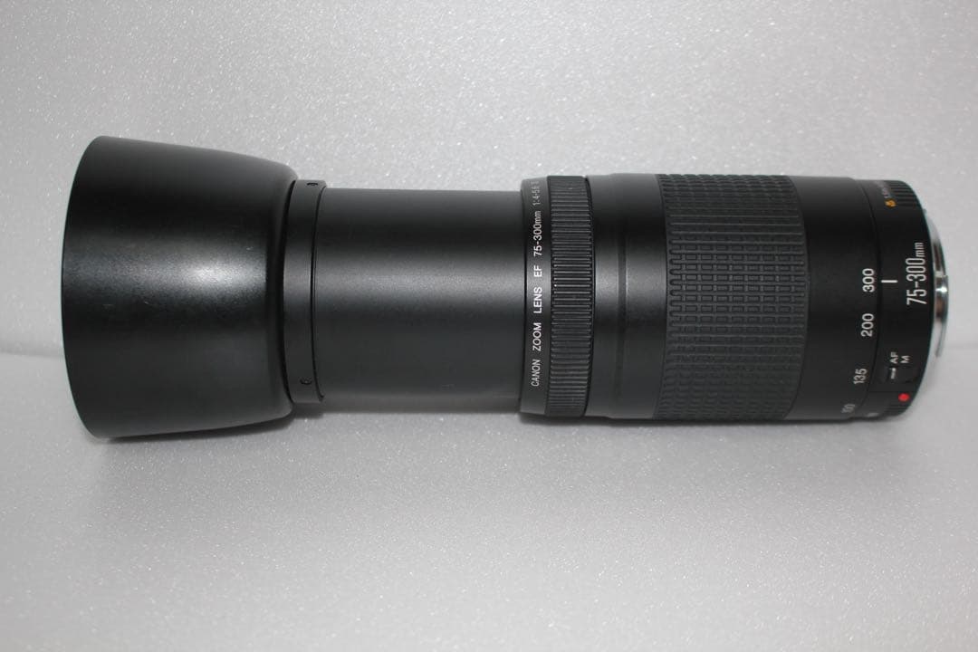 望遠レンズ/デジタル一眼レフカメラ/Canon EF75-300㎜
