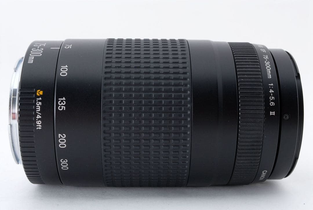 望遠レンズ/デジタル一眼レフカメラ/Canon EF75-300㎜