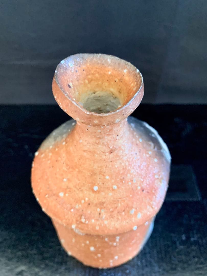 辻村史朗　信楽徳利