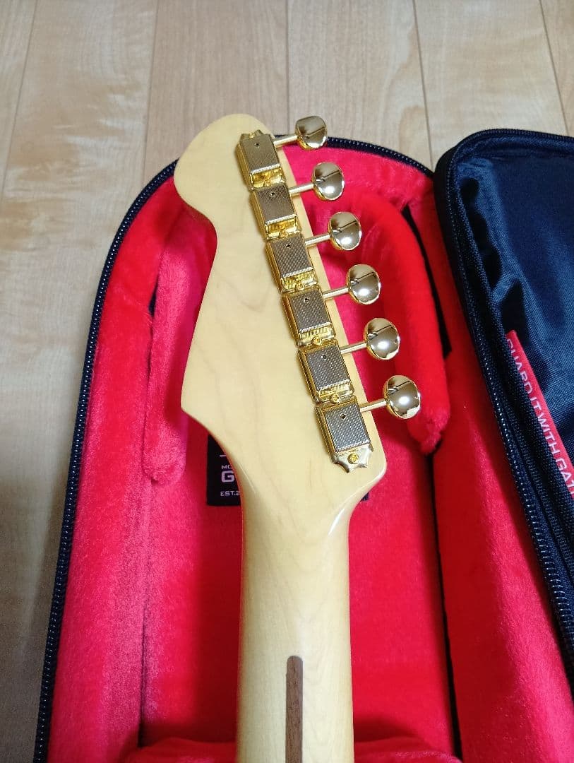 ギター AST-101G -See-Through White / STWR-