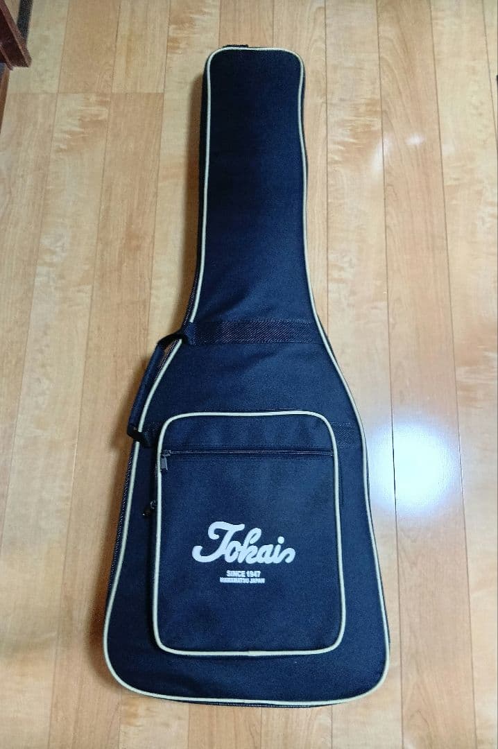 ギター AST-101G -See-Through White / STWR-