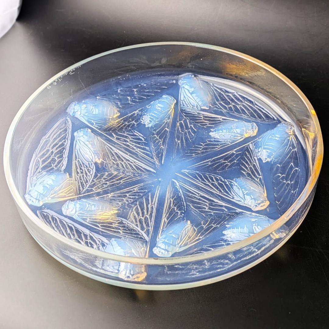 ラリックCigales 1921年セミ紋様26cm大蓋物 純正台座付　極希少