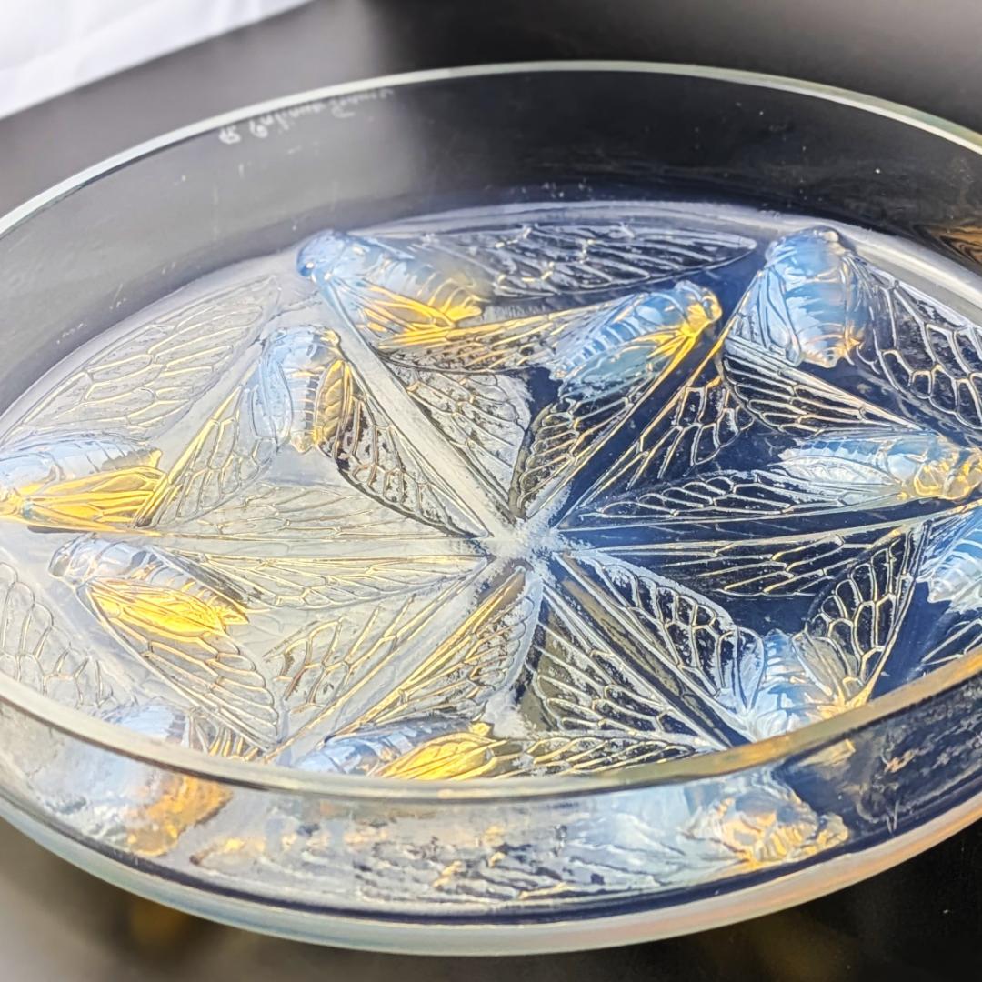 ラリックCigales 1921年セミ紋様26cm大蓋物 純正台座付　極希少