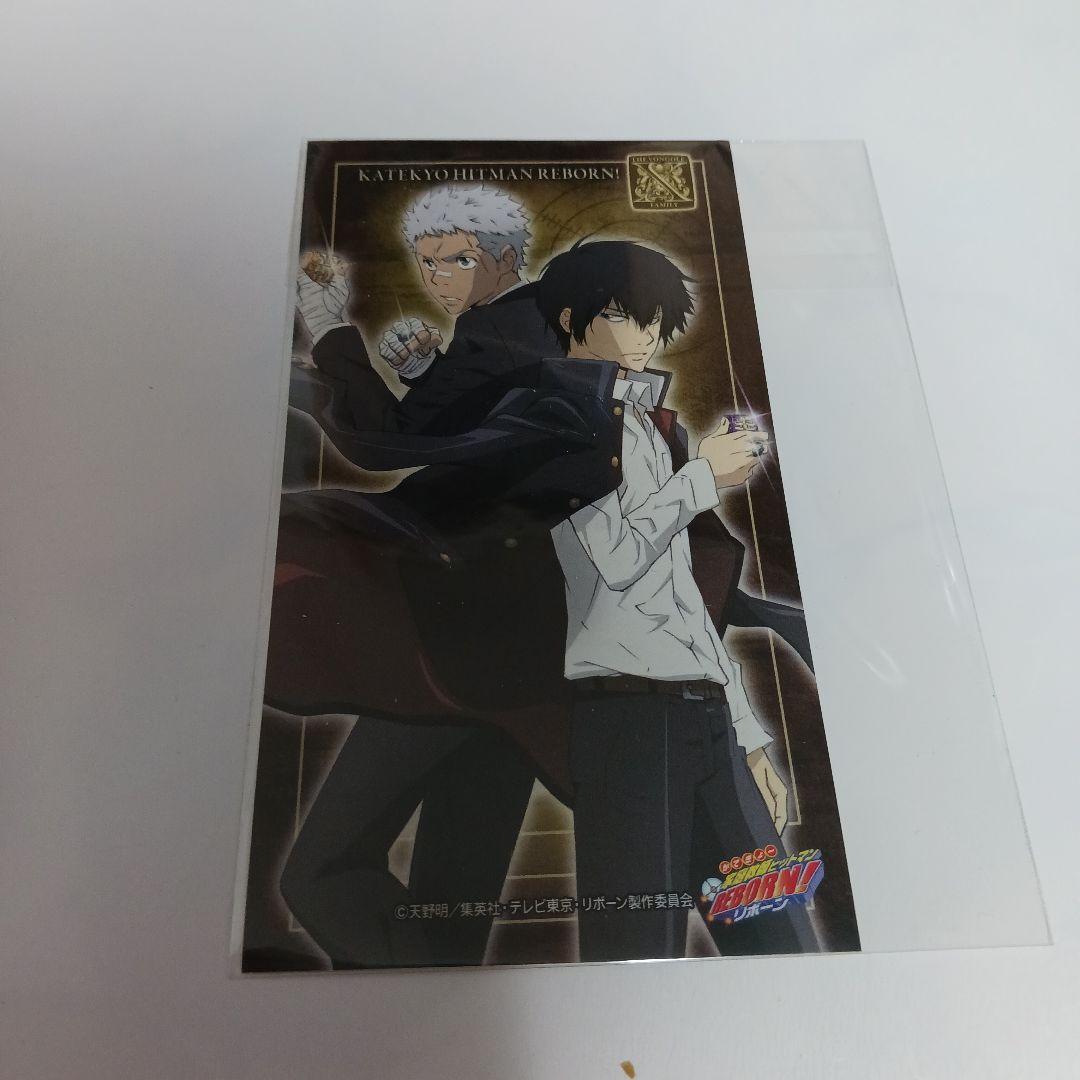 家庭教師ヒットマンREBORN!　未来編　非売品　綱吉　雲雀　骸　獄寺　写真8枚