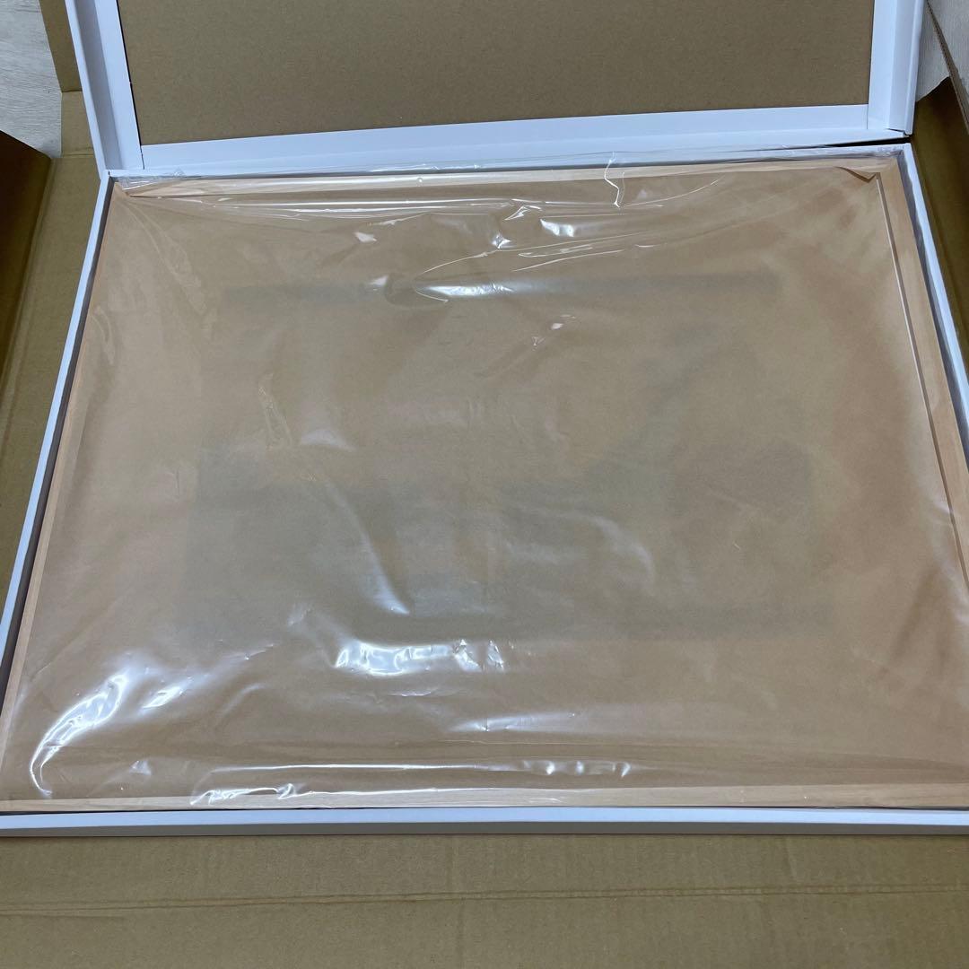 ドラえもん 浮世絵「富嶽三十六景・江都駿河町三井見世略図」