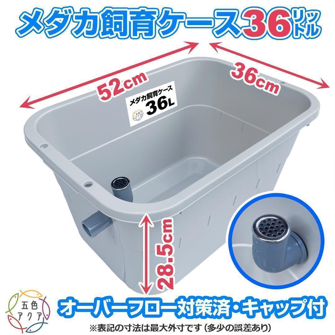 【新仕様】メダカ飼育ケース 36㍑x4個（4色から選択） オーバーフロー加工付