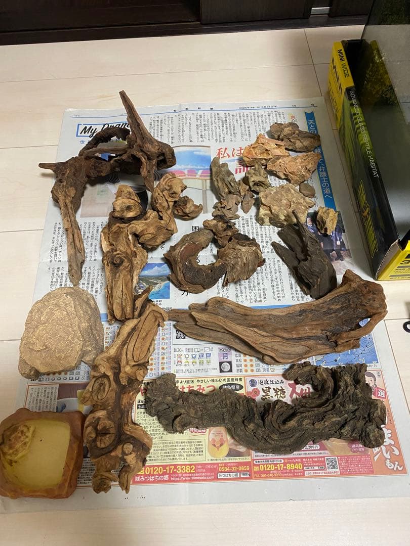 グラステラリウム3030 レイアウト セット