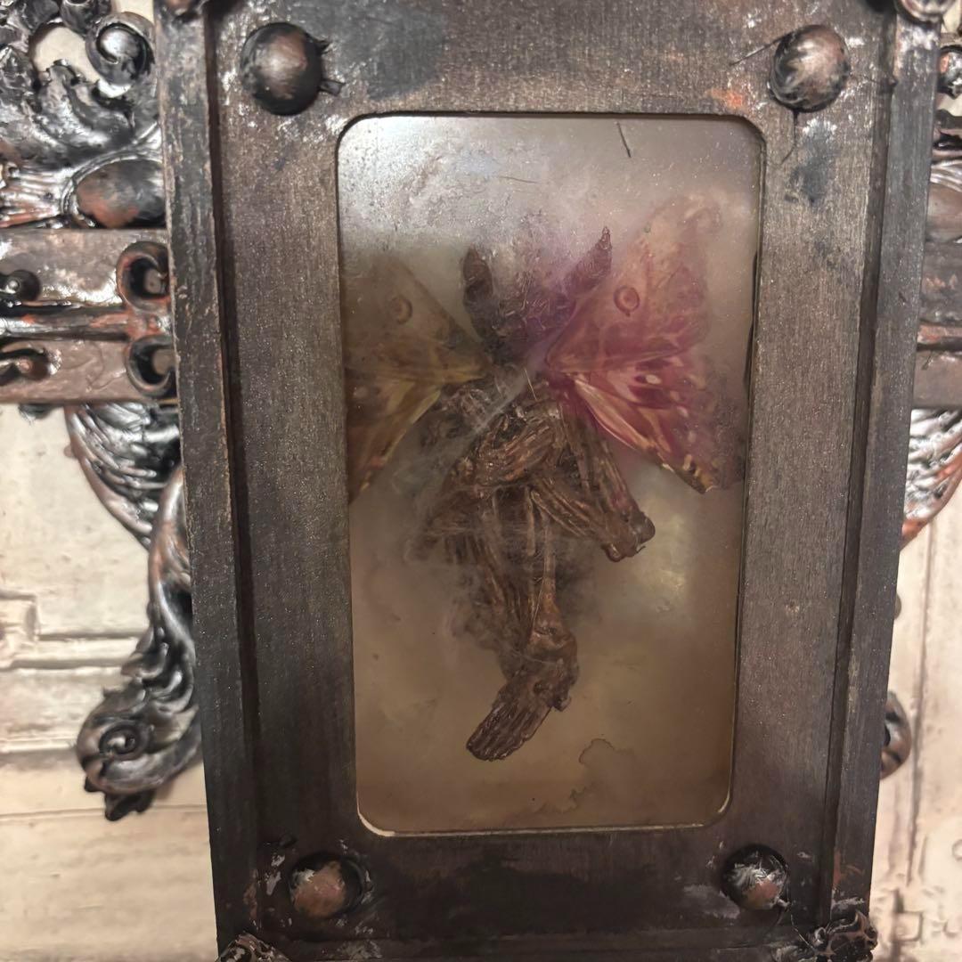 【Special Price】 妖精剥製十字架標本箱