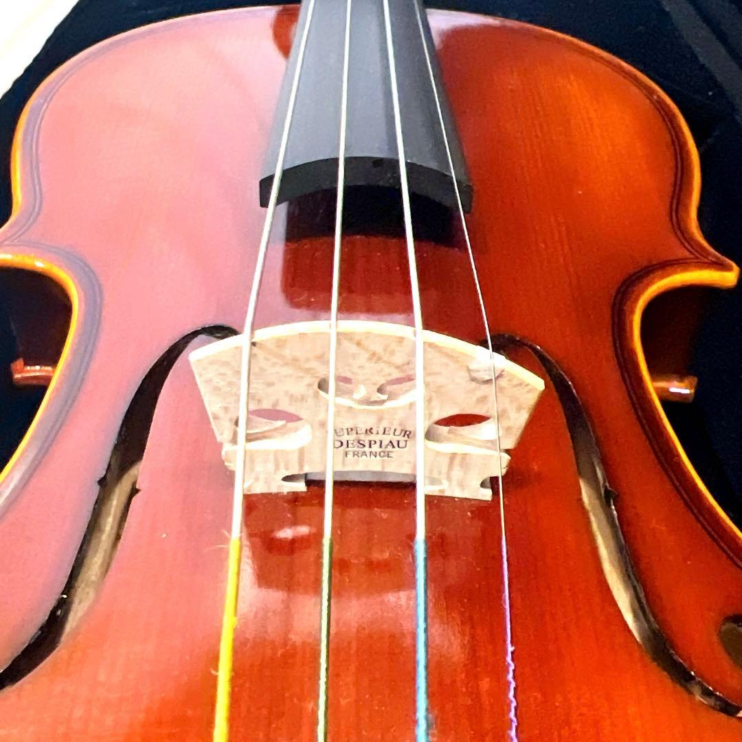 【極美品】Andreas Eastman VL80 1/4 2018年