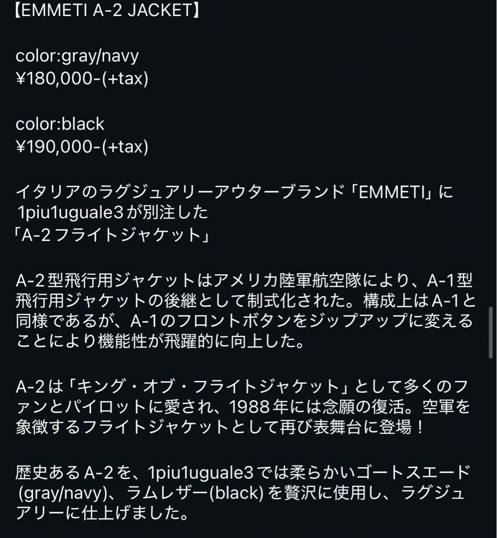 定価21万 1piu1uguale3×EMMETI A-2 JAKET Ⅴ