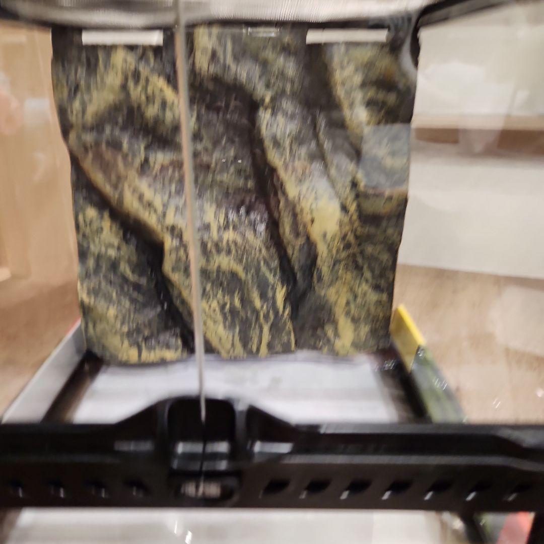 エキゾテラ GEX EXOTERRA グラステラリウム 3030 PT2600