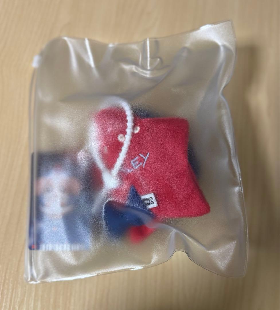 GMMTV WilliamEst WESLEY DOLL 1点